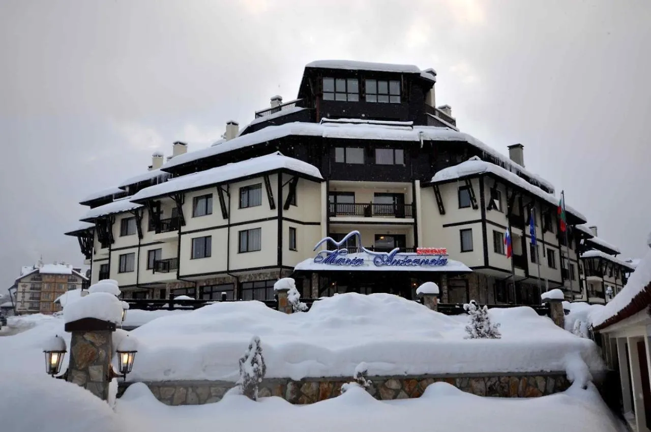 Artist'S Apart Antonetta Bansko